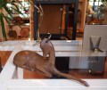 fotos-2807-olymp-(25)